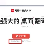 有道翻译术语怎么优化？