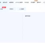 有道翻译怎么翻译带换行的长文本？段落格式处理方法